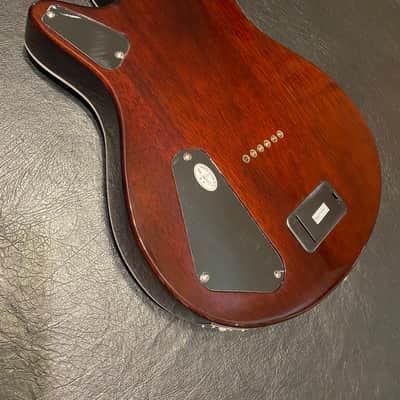 Michael Kelly Spalted Hybrid E/A 2025 - Spalted Burst image 12
