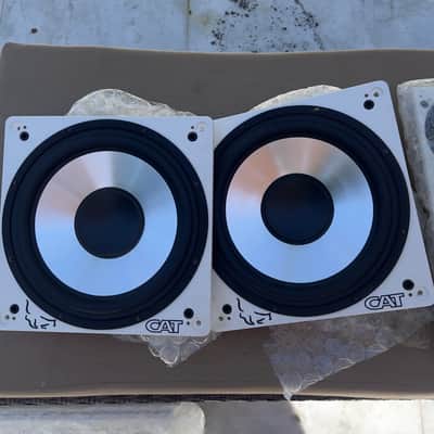 CAT Home Theater (LCR & Subwoofers) Early 2000's - White image 4
