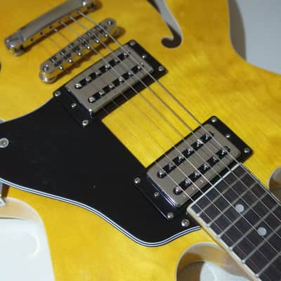 D'URBANO MAGNETICS TRONS - HUMBUCKER SIZED FILTERTRON PICKUPS nickel image 1