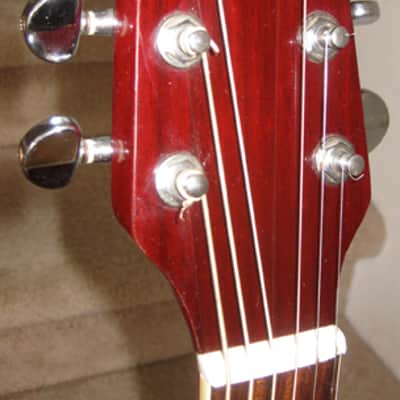 Walden D351SR Acoustic Dreadnought Guitar image 3