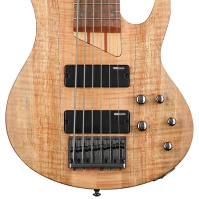 ESP LTD B-206SM Bass Guitar - Natural Satin image 1