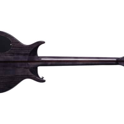 Washburn H10TB Wing Series Hawk Electric Guitar. Trans Black image 2