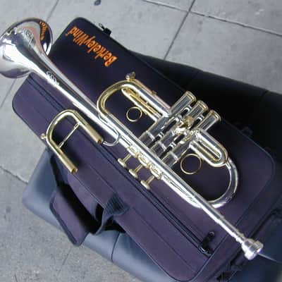 Berkeleywind C / Db Trumpet image 2