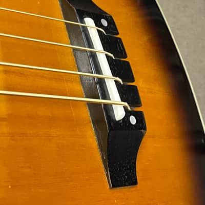 Washburn AB-20 image 5
