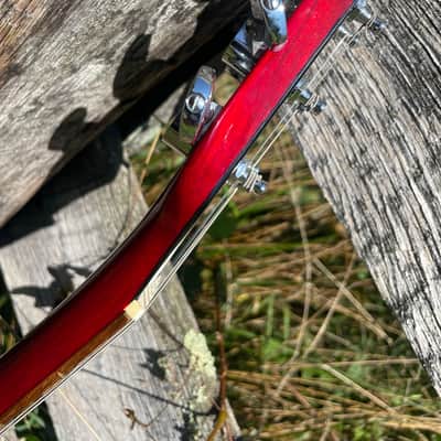 Hamer  Vector  1981 Heritage Cherry image 10
