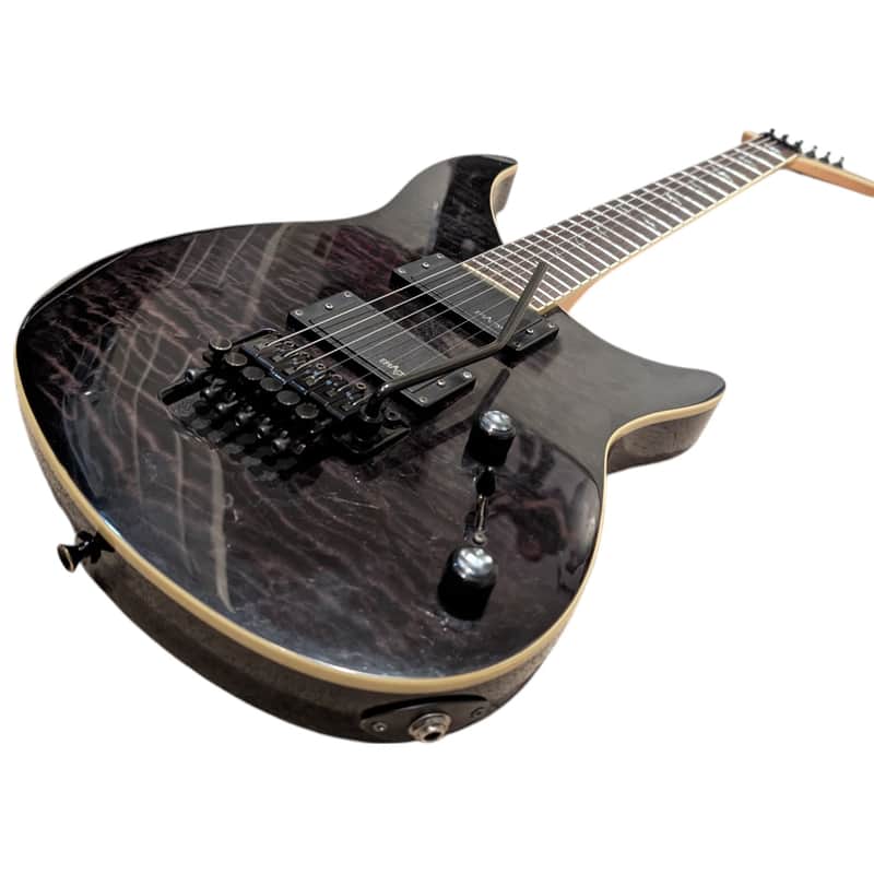 2007 Epiphone PROTOYPE!!-Prophecy EM-2 Custom Black Cherry