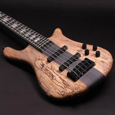 Spector CST limited Edition 2026 - Spalted Maple image 1