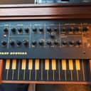 EDP WASP SPECIAL 1981 - Wood Panel