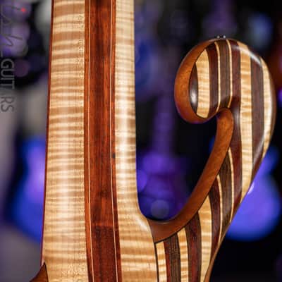 Shawn May Custom Rainbow 6-String Short Scale Bass image 14