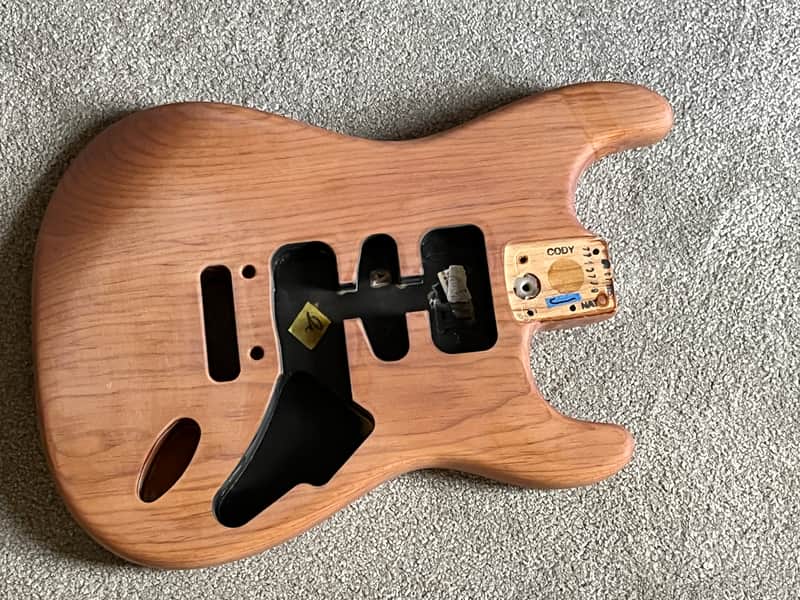 Fender American Professional II Stratocaster guitar body basecoat image 1
