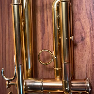 Adams A1 Gen 1 Brushed Lacquer image 8