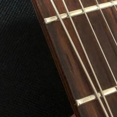 Warmoth Custom image 11