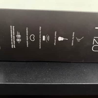 AKG P120 image 6
