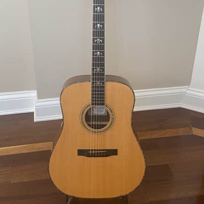 Larrivee D-10E image 2