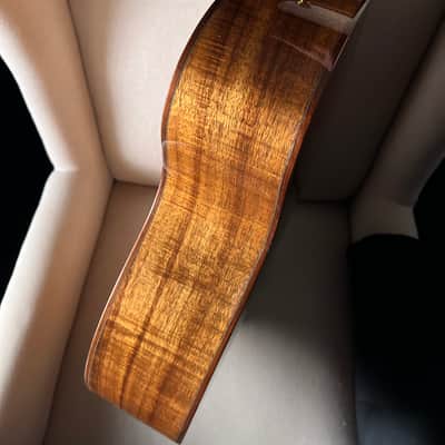 Martin SS-GP42-15 NAMM Show Limited 42 style Grand Performance Tree Of Life Hide Glue Fishman Aura Bild 11