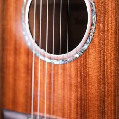 Taylor PS14ce-N Honduran Rosewood/Sinker Redwood Nylon Acoustic/Electric Guitar with Hardshell Case image 11