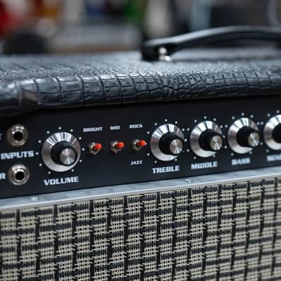 Amplified Nation Phoenix Fury 50W Head & 112 Cab – Black Croc image 4
