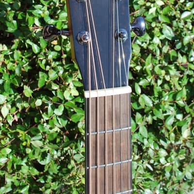 David Webber Guitars 12 Fret Maple Washburn w/ Chocolate Cedar 2015 image 5