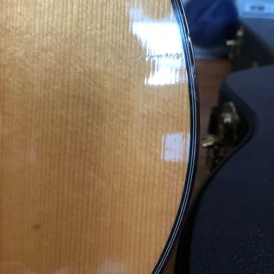 Larrivee Ls-19 Gloss image 5