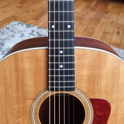 Taylor 210-G Gloss Top Acoustic Guitar image 3