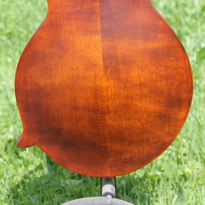 eastman md315 image 8