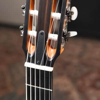 Taylor 212ce-N Plus Nylon Grand Concert Acoustic/Electric Guitar with Aerocase image 6