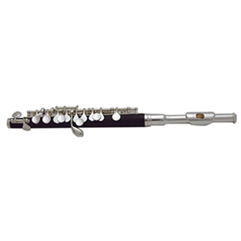 Piccolo Wood/Ebonite Compound-Body with Case image 1