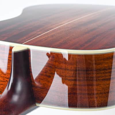 Eastman E10SS TC TFOA LTD Adirondack Natural image 9