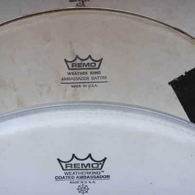 Remo 16" Drum Head Lot - 9 Heads image 7