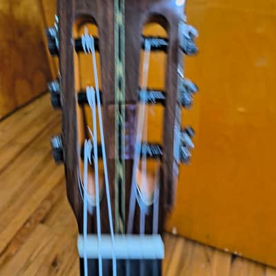 Marcus Dominelli Double Top 2026 Nylon String image 6