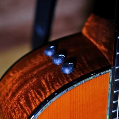 Taylor Custom Grand Auditorium 2022 - Natural image 12