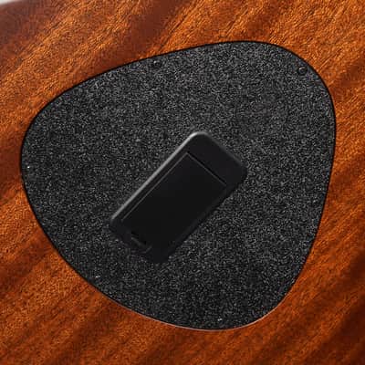 2021 Taylor T5Z Classic 12 String Semihollow Acoustic/Electric Guitar (VIDEO! Fresh Work, Ready) image 13
