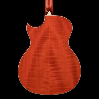 Taylor Doyle Dykes Signature Model #25061 (NAMM 2026) image 4
