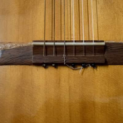 1962 Epiphone EC100 Seville Classical Guitar Kalamazoo Michigan image 7