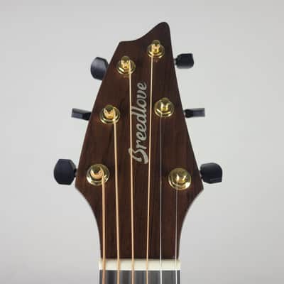 Breedlove Premier Companion E Brazilian LTD USA made With OHSC Free Shipping image 3