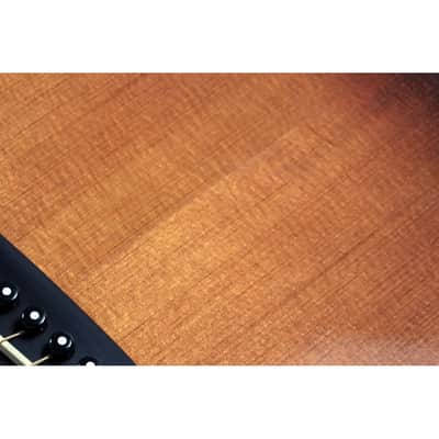 Immagine Martin GPC Special 16 Style Rosewood Grand Performance Acoustic-Electric Guitar - Ambertone - 7