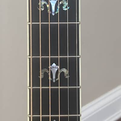 Larrivee D-10E image 13