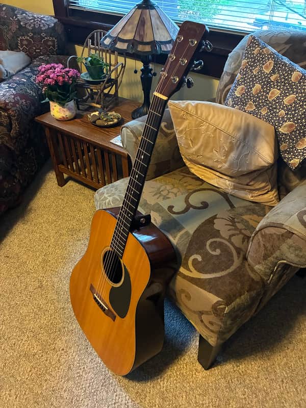 Martin D-18 1969 image 1