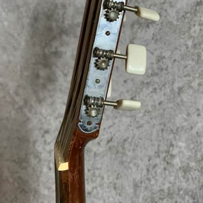 Giannini Model 2 1966 image 17