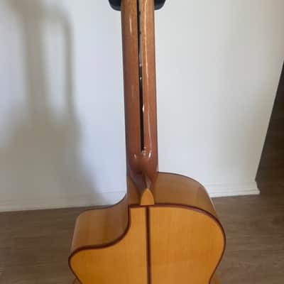 ANTONIO PICADO 60F CUTAWAY Blanca-HAND MADE IN BERGA, SPAIN image 10
