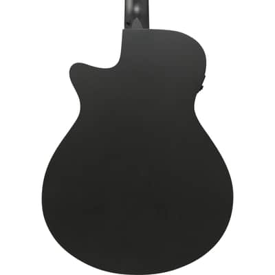 Ibanez AEG1221-BOT 12-String - 12 String Acoustic Guitar image 5