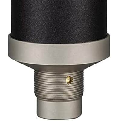 Blue Baby Bottle SL XLR Condenser Microphone for Recording and Streaming, Large-Diaphragm Cardioid C image 1