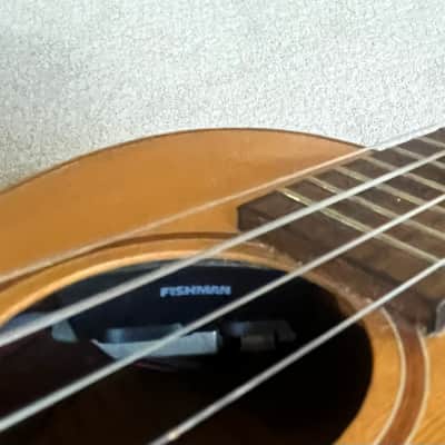 Lanikai Concert LQA-CCA Solid Spruce Top/ Quilt Ash A/E Cutaway Fishman Ukulele image 7