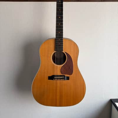 Gibson J-45 Sustainable 2019 image 1
