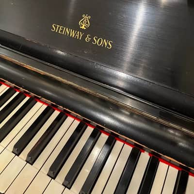 Steinway & Sons Upright Piano 1884 - Ebonized image 18