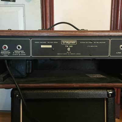 Traynor TS-50 Vintage Amplifier Head in Custom Cab image 4
