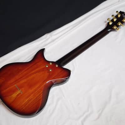 Washburn Idol T16 Vintage Sunburst NEW Electric Guitar w/gig bag image 6