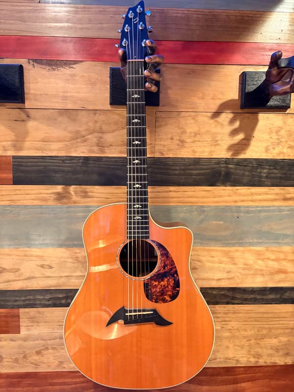 Breedlove Performance Focus D 2010 image 1
