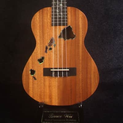 Handcrafted 5 String Tenor Ukulele, Solid Acacia, Carved Archback, The Islands Soundhole, Vine Inlay, Soft-bag, Bruce Wei UAG17-2025 image 6