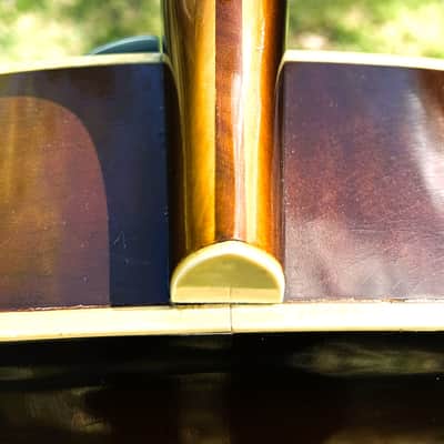 Epiphone Blackstone Tenor Guitar 1950 image 13